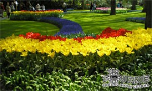 Киев: В апреле-мае на территории Печерского ландшафтного парка пройдет ІІ городская выставка тюльпанов