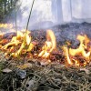 В Крыму снова горит лес