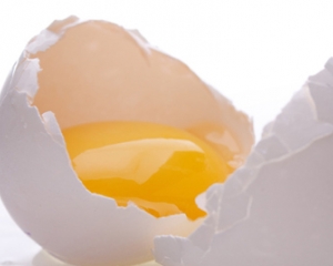 Страшная правда об яичных желтках