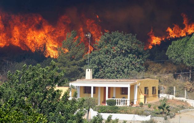В Валенсии начались сильные лесные пожары