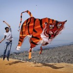 В Индии прошёл международный фестиваль воздушных змеев