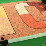 В Гонконге создали крупнейшую в мире мозаику из суши
