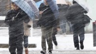 Из-за морозов в Японии погибло 13 человек