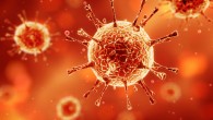 Смертельный коронавирус MERS попал в США