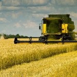 Агрария в Крыму не хватает топлива для сбора урожая