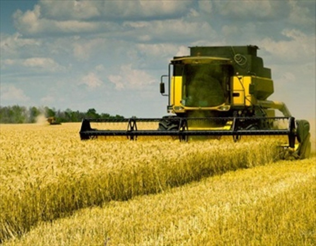 Агрария в Крыму не хватает топлива для сбора урожая