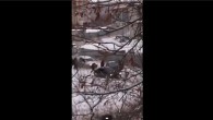 Видео. В Донецке среди бела дня похитили семью